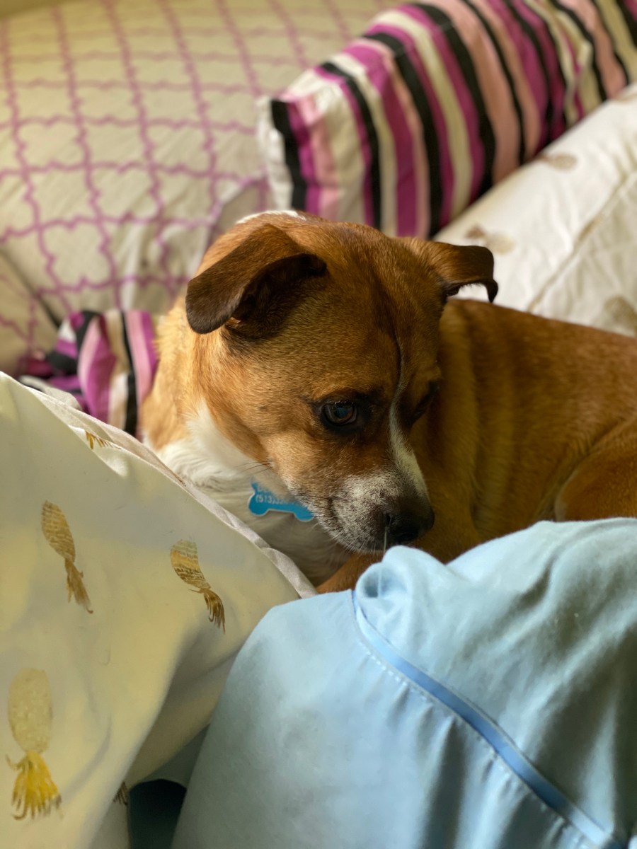 Weekend Sales 9/4/2020